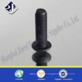 Hexagonal socket pan head screw plated black